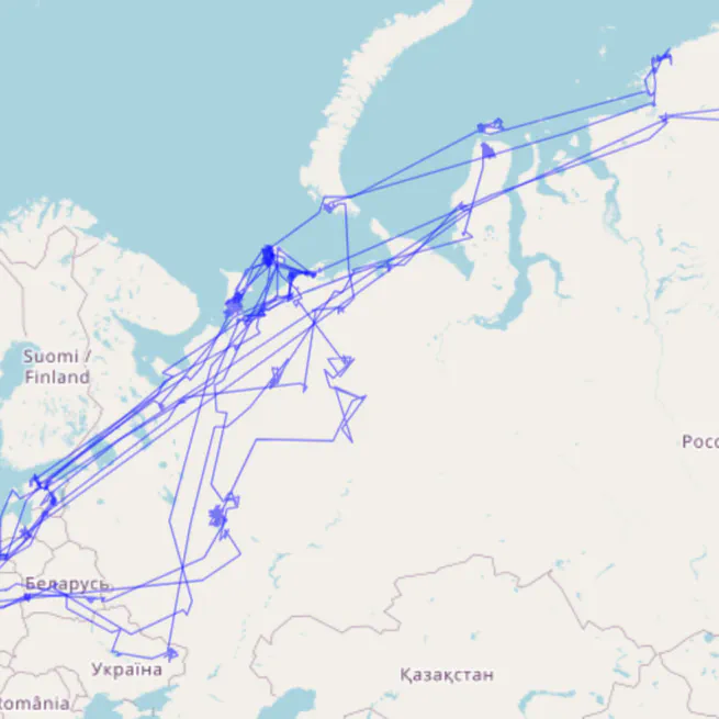 WildGraph: Realistic Graph-based Trajectory Generation for Wildlife